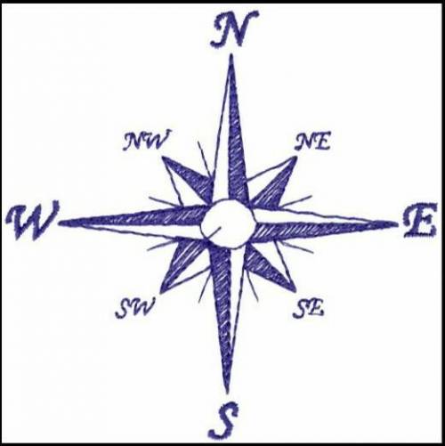 Draw the compass rose.​