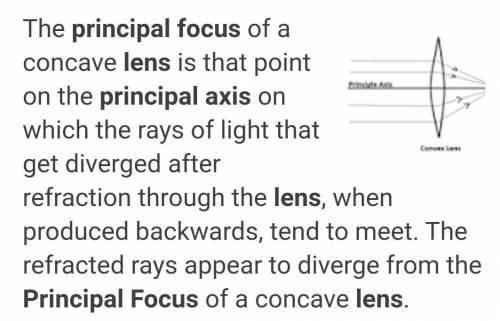 Define principal focus of a lence​