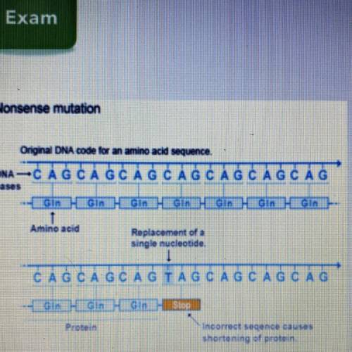 What is a likely consequence

of this type of mutation?
A. The gene would result in a shorter
prot