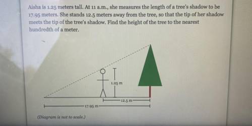 ￼find the hight of the tree to the nearest hundredth of a meter