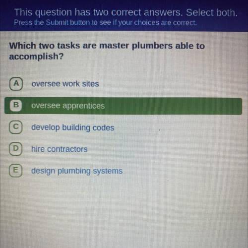 Which two tasks are master plumbers able to

accomplish?
A
oversee work sites
B
oversee apprentice