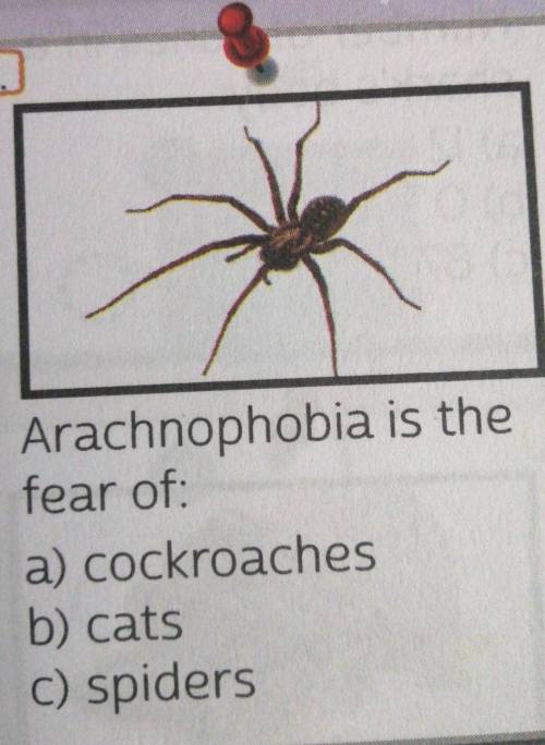 Arachnophobia is the fear ofa) Cockroaches b) Catsc) Spiders​