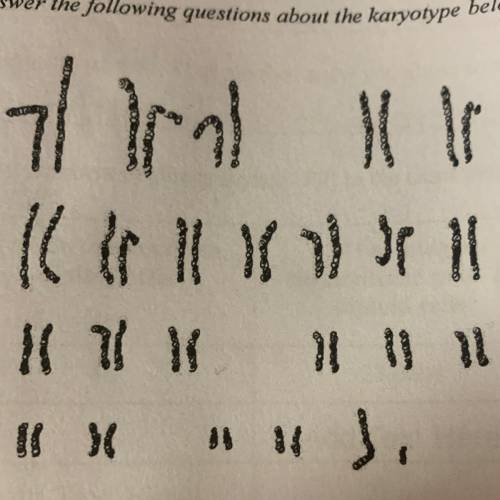 What would a karyotype like this look like after meiosis?How did the organism get these chromosomes