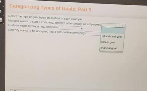Select the type of goal being described in each example, Mariana wants to start a company, and hire