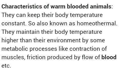 Mention any four characteristics of warm blooded animals