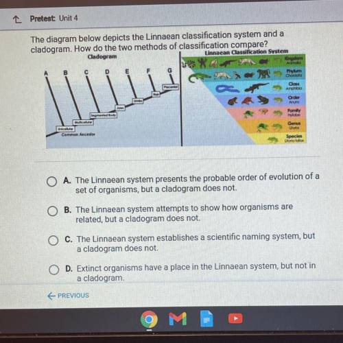The diagram below depicts the Linnaean classification system and a

cladogram. How do the two meth