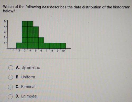 Which of the following best describes the data distribution of the histogram below?

A. Symmetric