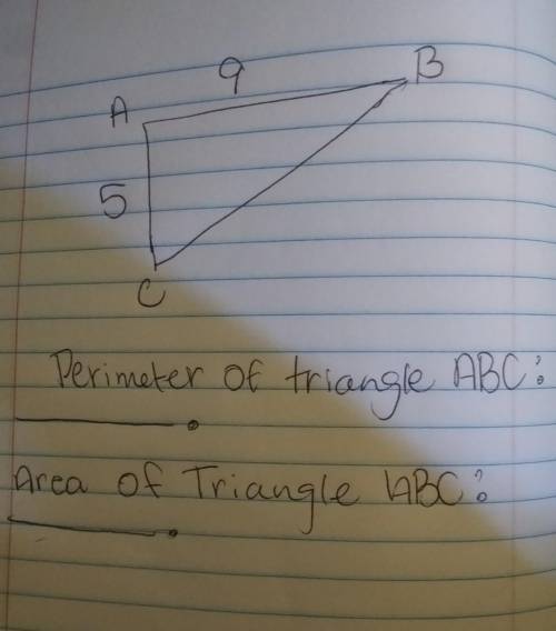 Use the diagram to compute the perimeter and area of the triangle.​