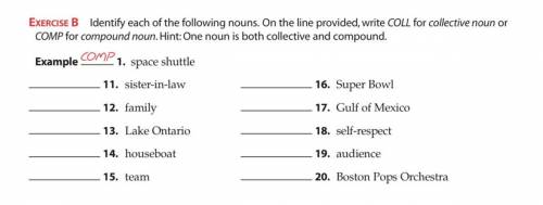 Identify each of the following nouns. One the line provided, write COLL for collective noun or COMP