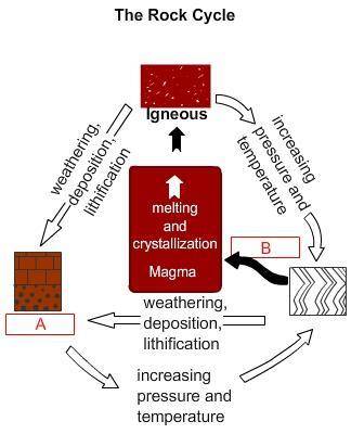 Select the correct answer from each drop-down menu.

In this model of the rock cycle, A represents