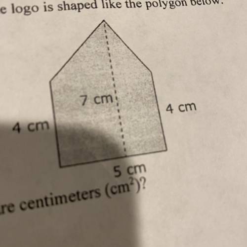 A student designed a logo for a t-shirt the logo is shaped like the polygon below