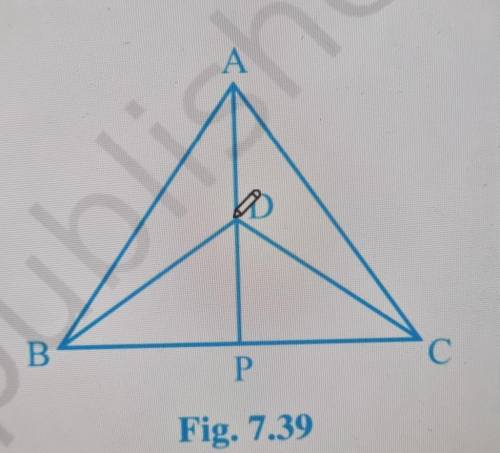 1. triangle ABC and triangle DBC are two isosceles triangles on the same base BC and vertices A and