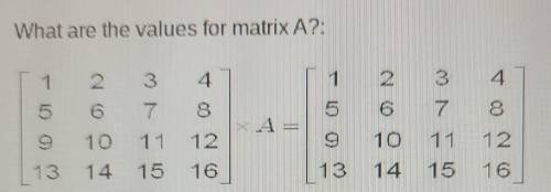 What are the values for matrix A?: 1 2 3 4 1 3 4 5 6 7 8 Noo 4 1 0 0 9 6 7 8 10 12 14 15 16 13 14 1