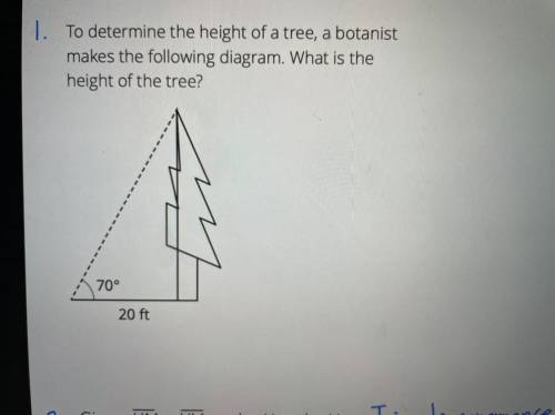 1. To determine the height of a tree, a botanist

makes the following diagram. What is the
height