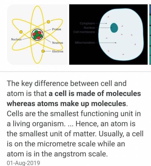 Define cell and atom ​