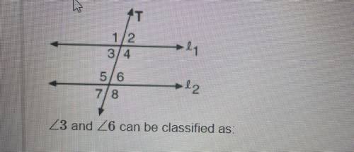 <3 and <6 can be classified as:

a. alternate exterior angles
b. same side interior angles
c