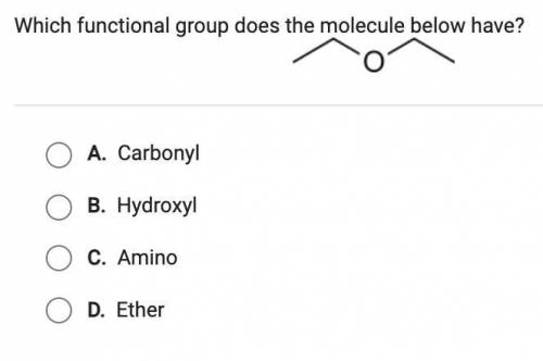 What functional group does the molecule below have?
*two leg spider looking molecule*