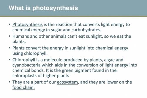 What is photosynthesis???....​