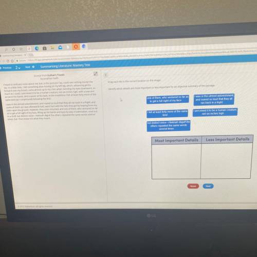 identify which details are most important or less important for an objective summary of the passage