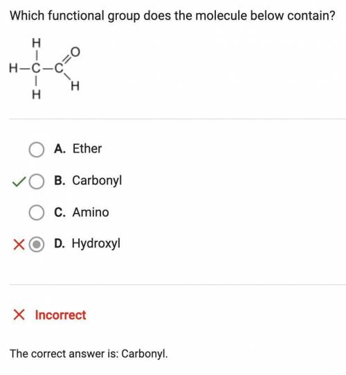 Which functional group does the molecules below contain?

H O
l //
H - C - C
l \
H H