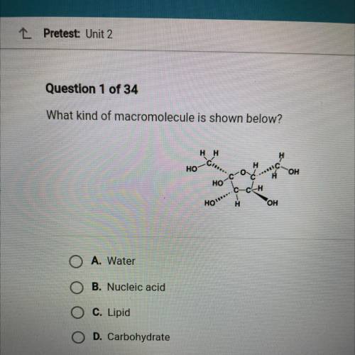 What kind of macromolecule is shown below ?