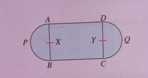 The diagram above shows a plan for a park. ABCD is a rectangle.

APB and DQC are semicircles centr