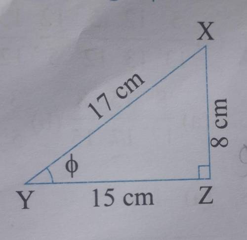 Find hypotenuse,perpendicular and base​