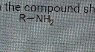 Which functional group is within the compound shown below?

R-NH2 A. Amino B. Carbonyl C. Hydroxyl