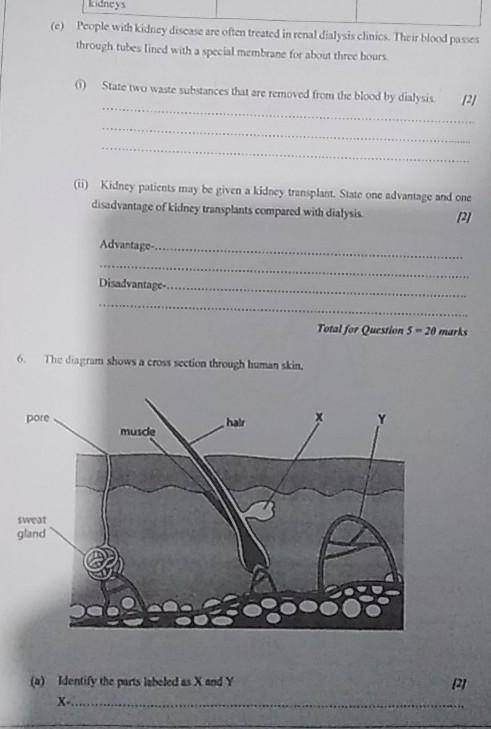 Help with this question 20pts ​