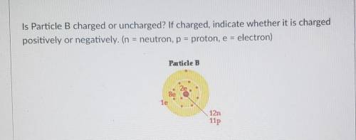Is Particle B charged or uncharged? If charged, indicate whether it is charged positively or negati