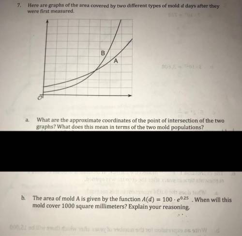 A. What are the approximate coordinates of the point of intersection of the two

graphs? What does