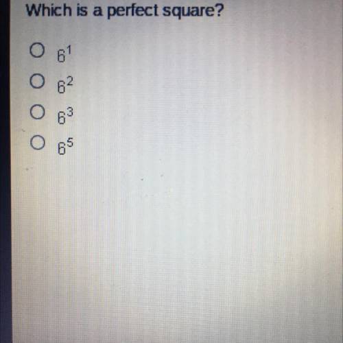 Which is a perfect square?
•6^1
•6^2
•6^3
•6^5
