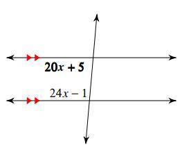 Find the measure of the angle indicated in bold. (20x+5 is in bold)