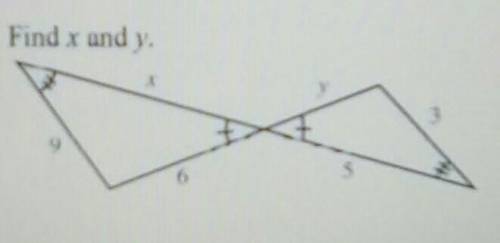 Plz help me find x and y on these triangles​