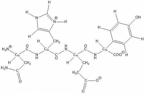 Below is the structure of what should be the peptide Asn-His-Glu-Tyr. However, one of these residue