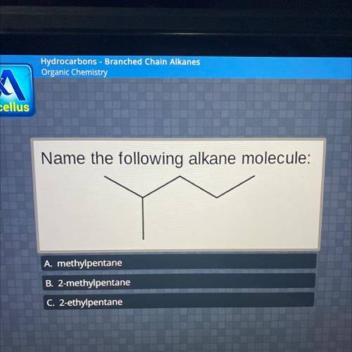 Name the following alkane molecule:

A. methylpentane
B. 2-methylpentane
C. 2-ethylpentane