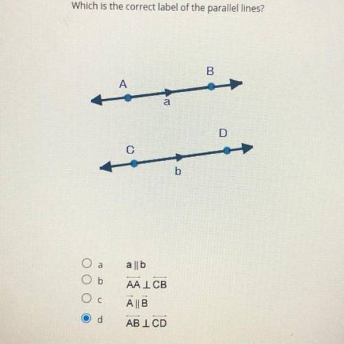 Which is the correct label of the parallel lines?

B
A
a
D
b
Oь
Ос
alb
AA I cв
AB
ABI CD