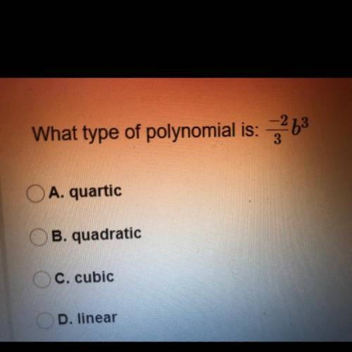 What type of polynomial is: -2/3 b^3