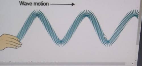 What is the motion of the particles in this kind of wave?

A.The particles will move up and down o