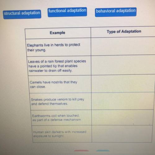 Match the type of adaptation to the correct example. The tiles can be used more then once.