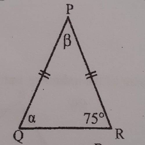 Calculate w reasons the size of the unknown angles ​