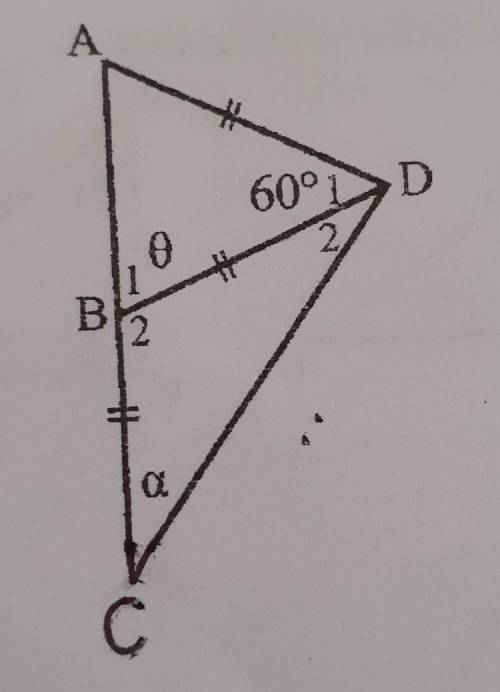 Calculate w reasons the size the size of the unknown angles​
