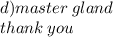 d)master \: gland \\ thank \: you