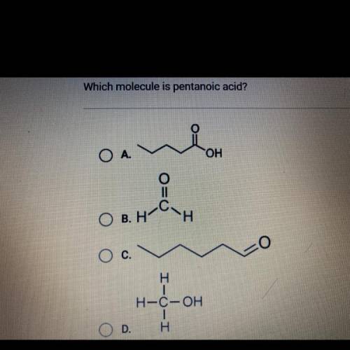 Which molecule is pentanoic acid?