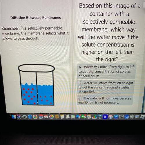 Based on this image of a

container with a
selectively permeable
membrane, which way
will the wate