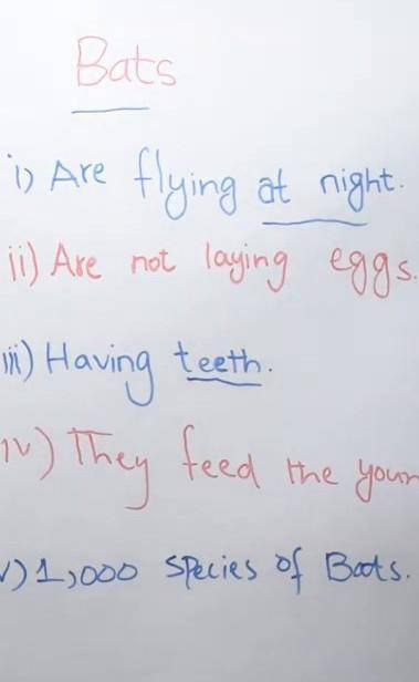 Difference between Birds and Bats.​