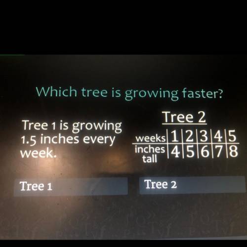 Which tree is growing faster