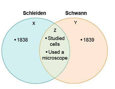 This Venn diagram compares Schleiden and Schwann.

Where would this phrase belong on the diagram?