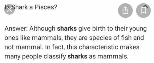 Why shark is grouped in the class pisces give reason.​