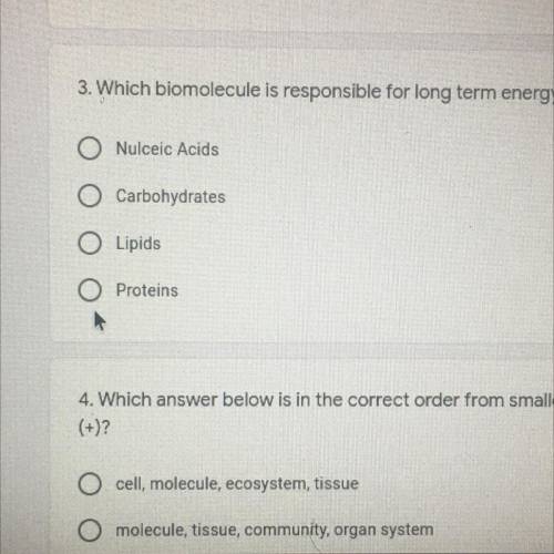 Which bio molecule is responsible for long term energy